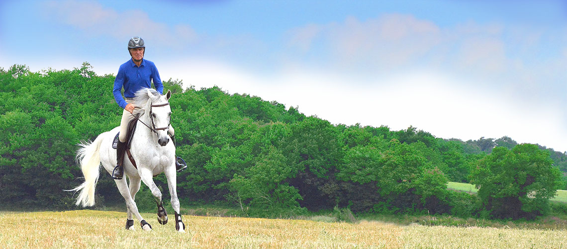 Horse Academy Videos & riding lessons Horse Academy TV