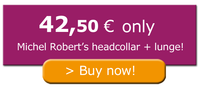 encart-lunge-headcollar-michel-robert-2.png